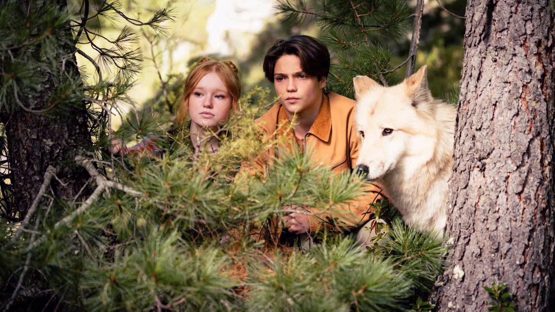 Die Gestaltwandler beobachten im Naturschutzgebiet ihr Revier.