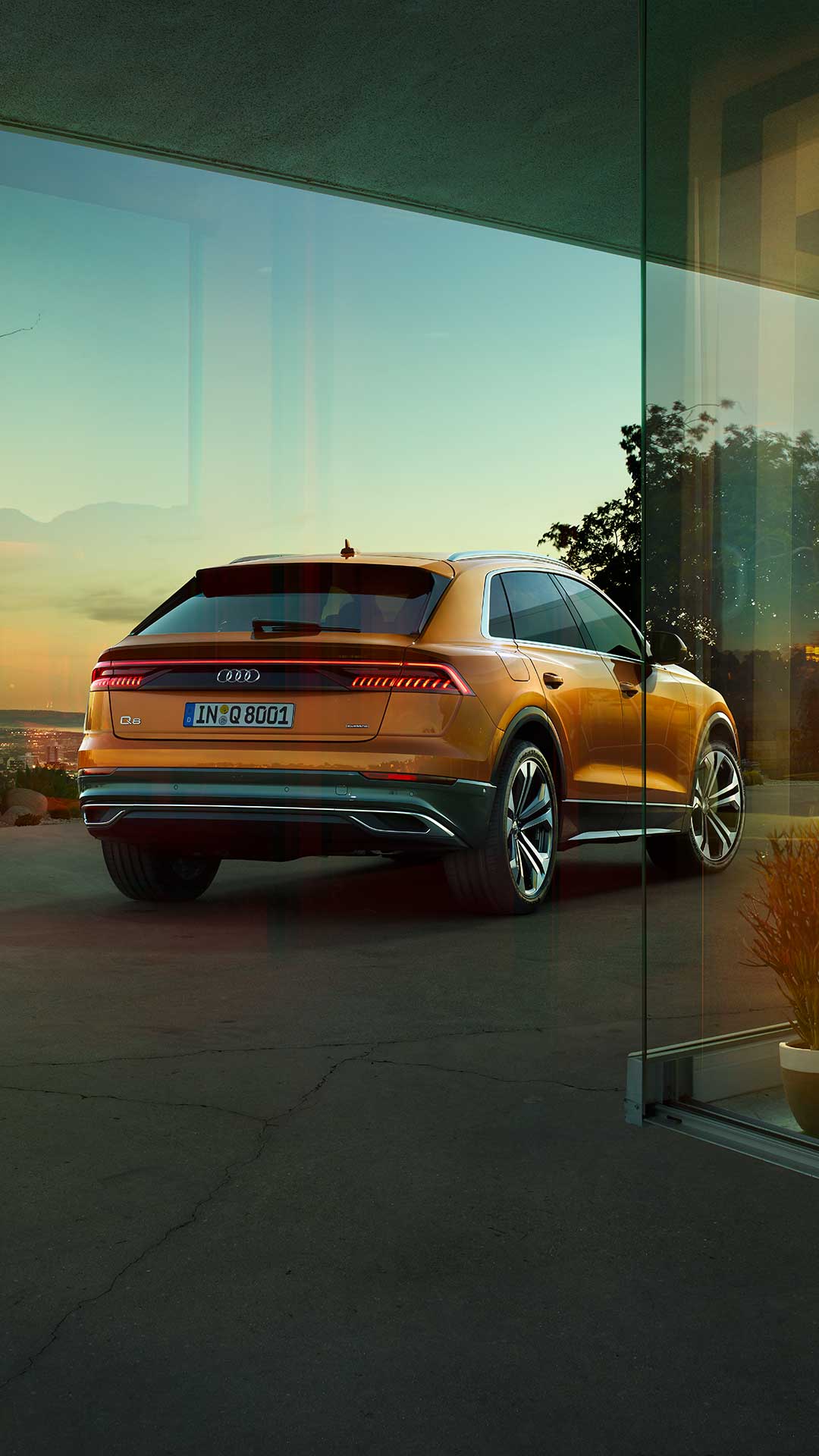 Side View Audi Q8