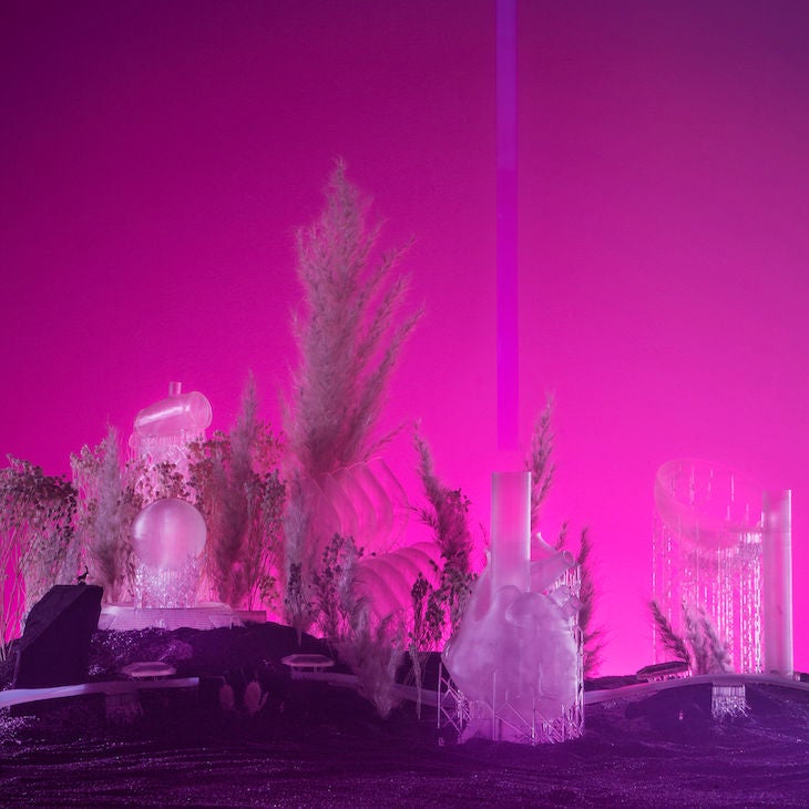 Roman Weil (XP Unit, avec Tom Formont)