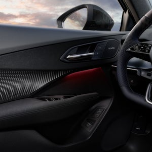 The inside of the door with ambient lighting package in red.