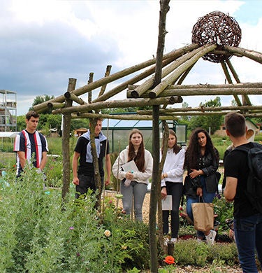 Azubis auf der Landesgartenschau