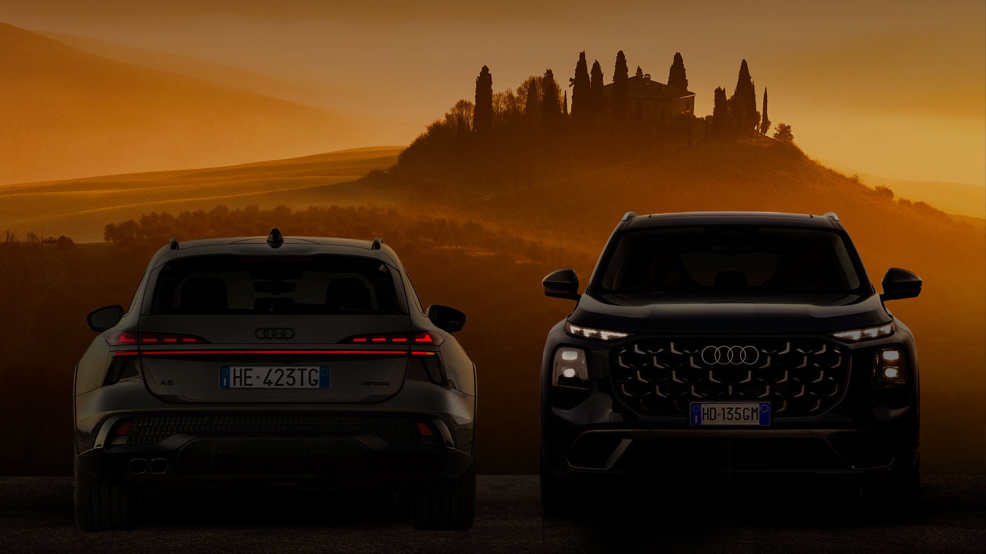 due vetture Audi