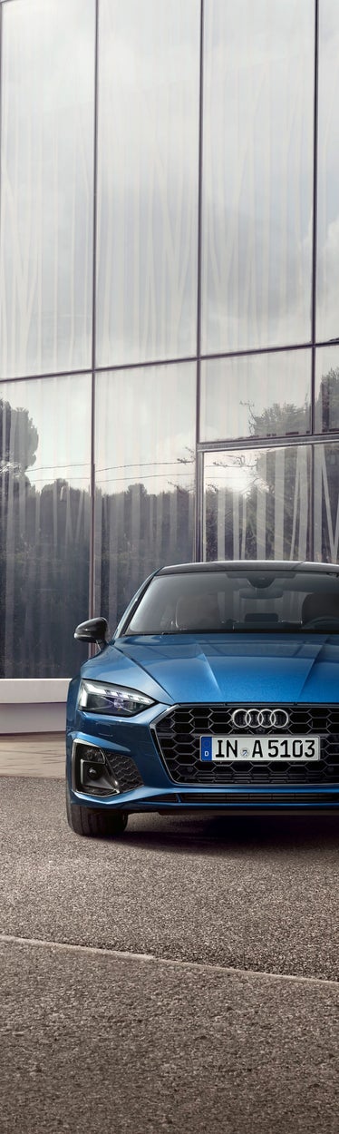 Une esthétique racée