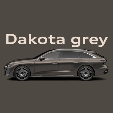 Dakota grey A6 Avant