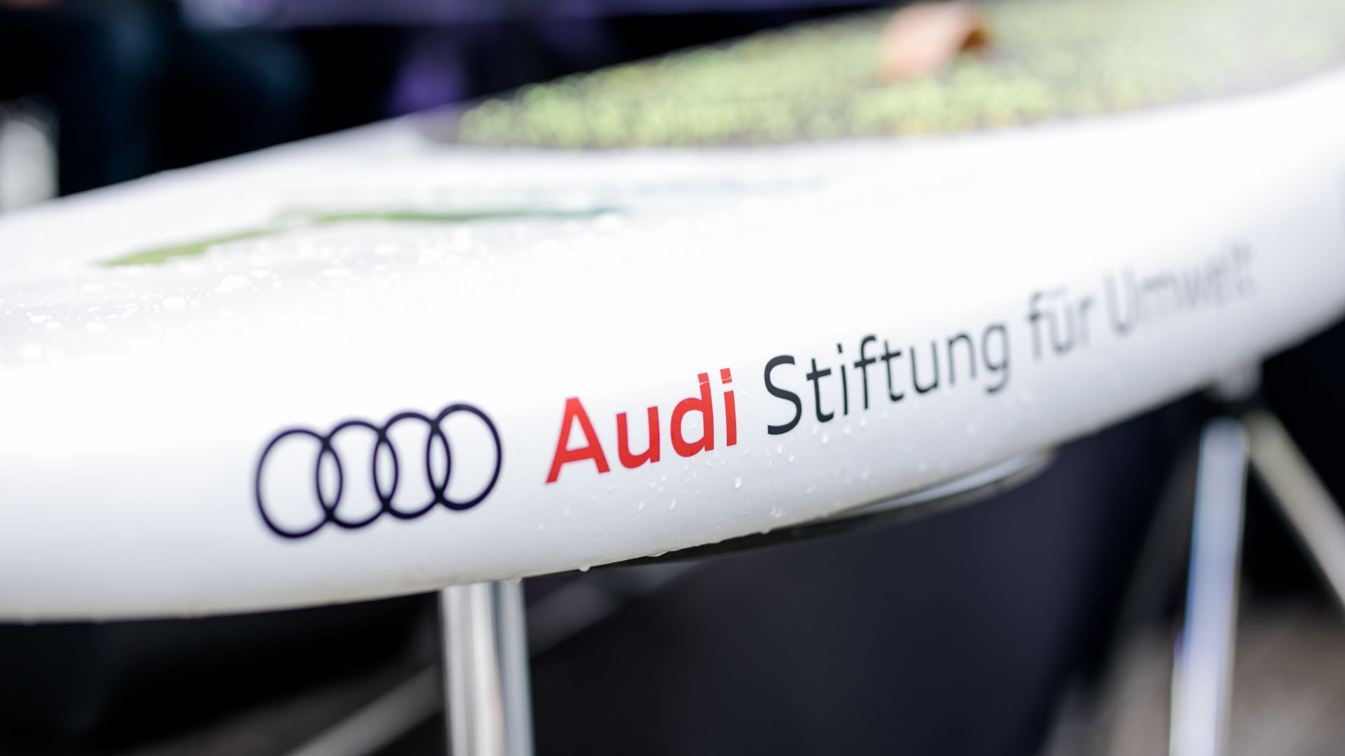 Close-up view of the Audi Environmental Foundation logo