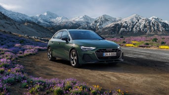 Ein grüner Audi A3 Sportback steht am Straßenrand in einer weiten Berglandschaft. Im Vordergrund blühen violette und gelbe Wildblumen, im Hintergrund erheben sich schneebedeckte Berge unter einem klaren Himmel.