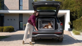Frau öffnet Kofferraum, Hundebox mit Hund vor modernem Haus.