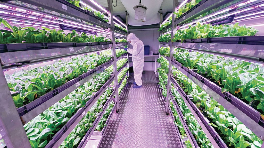 Urban Crop Solutions. Planten kweken op Aarde en Mars