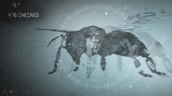 Aufzeichnung einer Biene