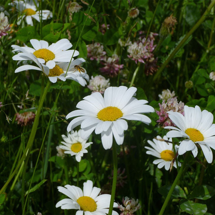 Audi opens new Vehicle Safety Center