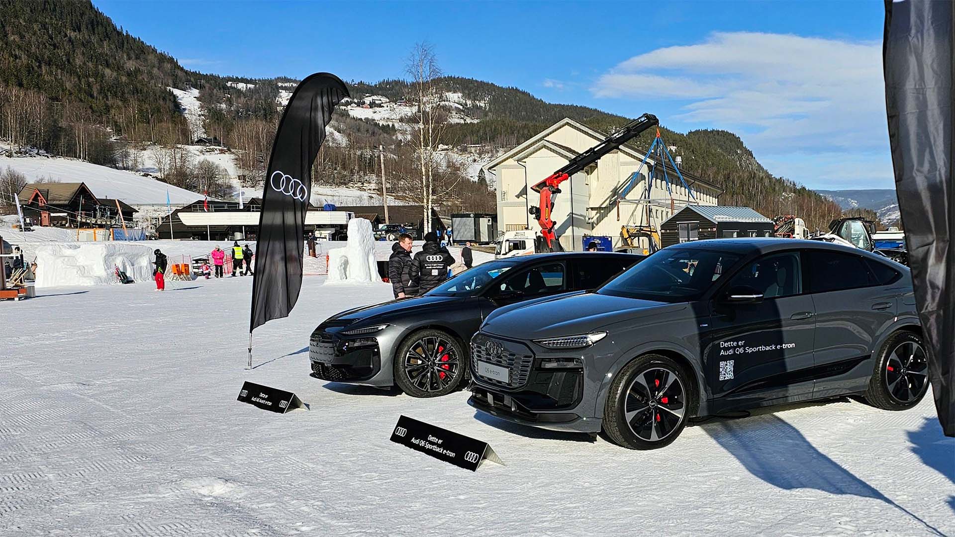 Audi shuttle service