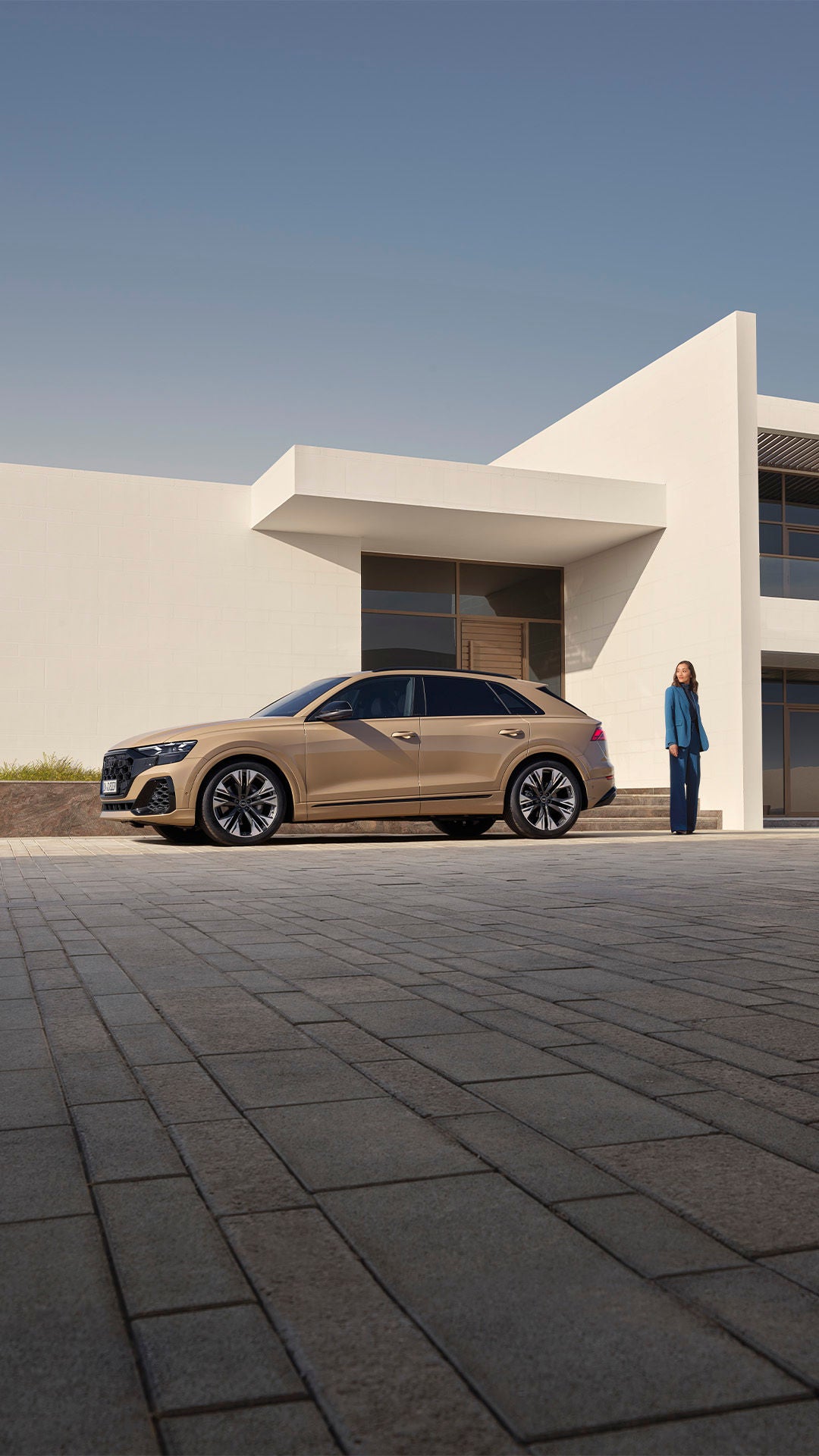 Foto de un Audi Q8 de segunda mano o de ocasión en stock