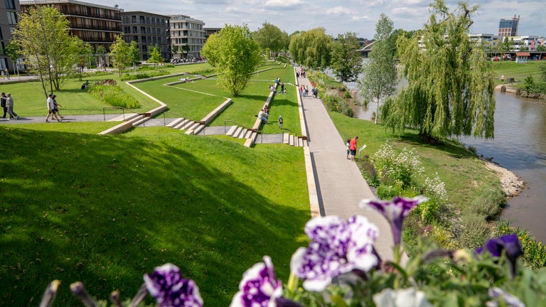 Walkway trough a nice parc