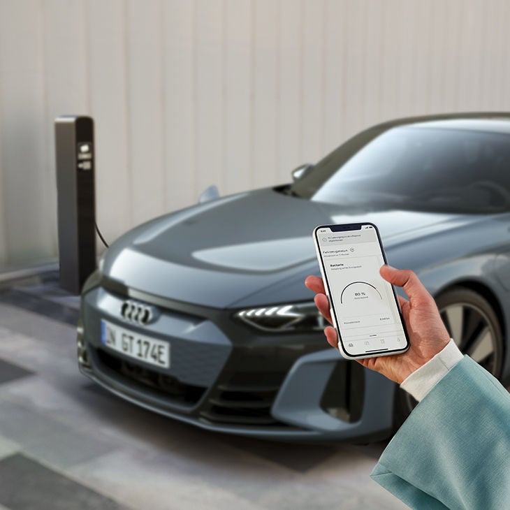 Tu carga siempre bajo control 