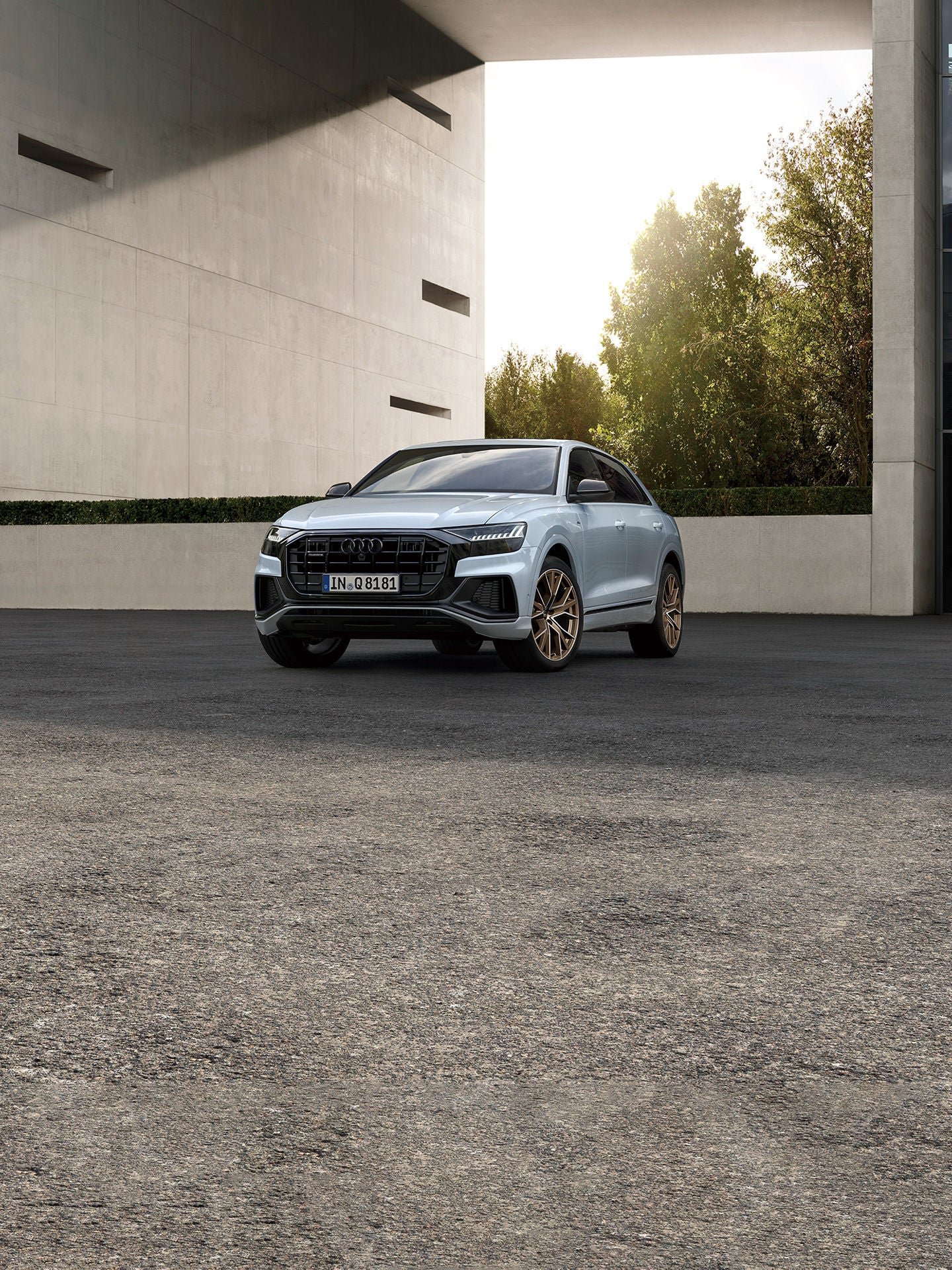 Audi Q8 bronze edition