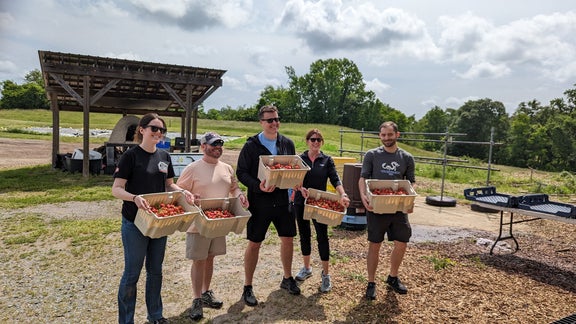 Helfer_innen mit Kisten voller Obst