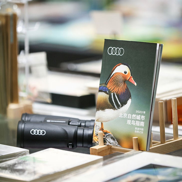 Baja Aragón as an addition to the preparation program