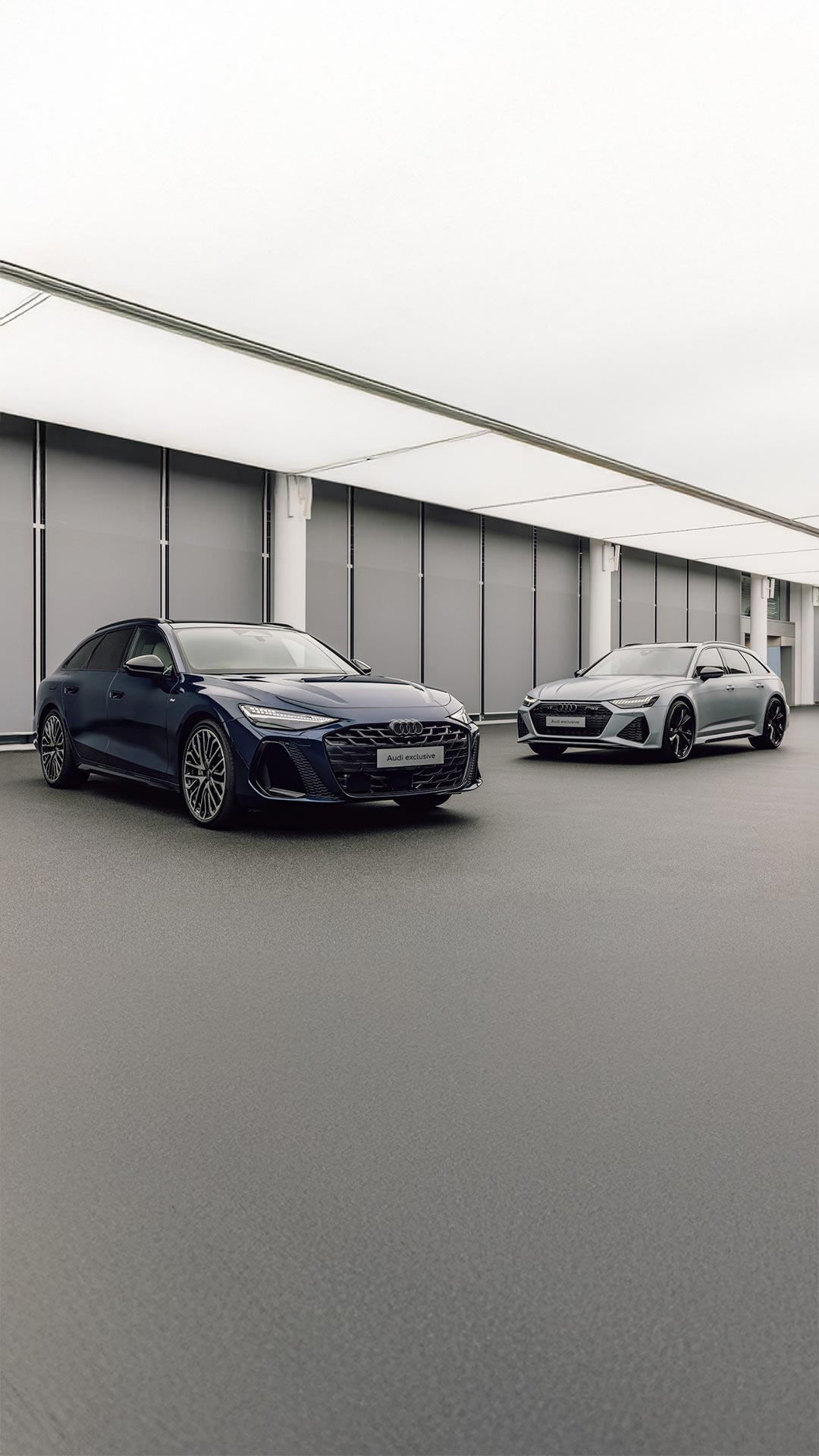 Audi RS 6 C8 + Audi A6 Avant C9