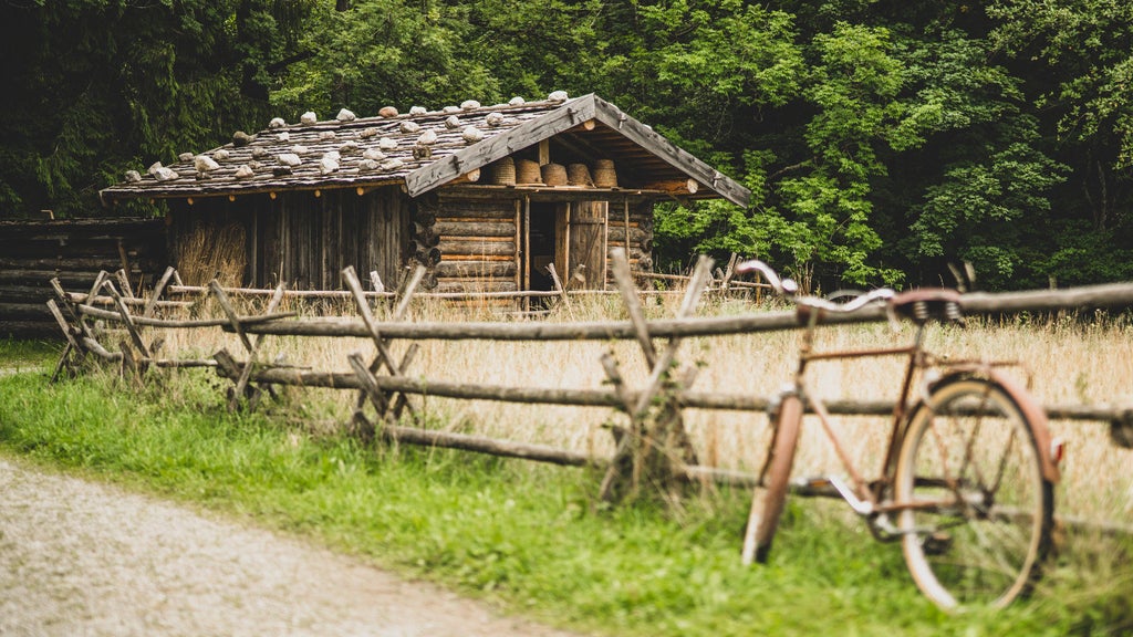A rustic wooden house with beehives, surrounded by a wooden fence. In front, an old, rusty bicycle by the path.