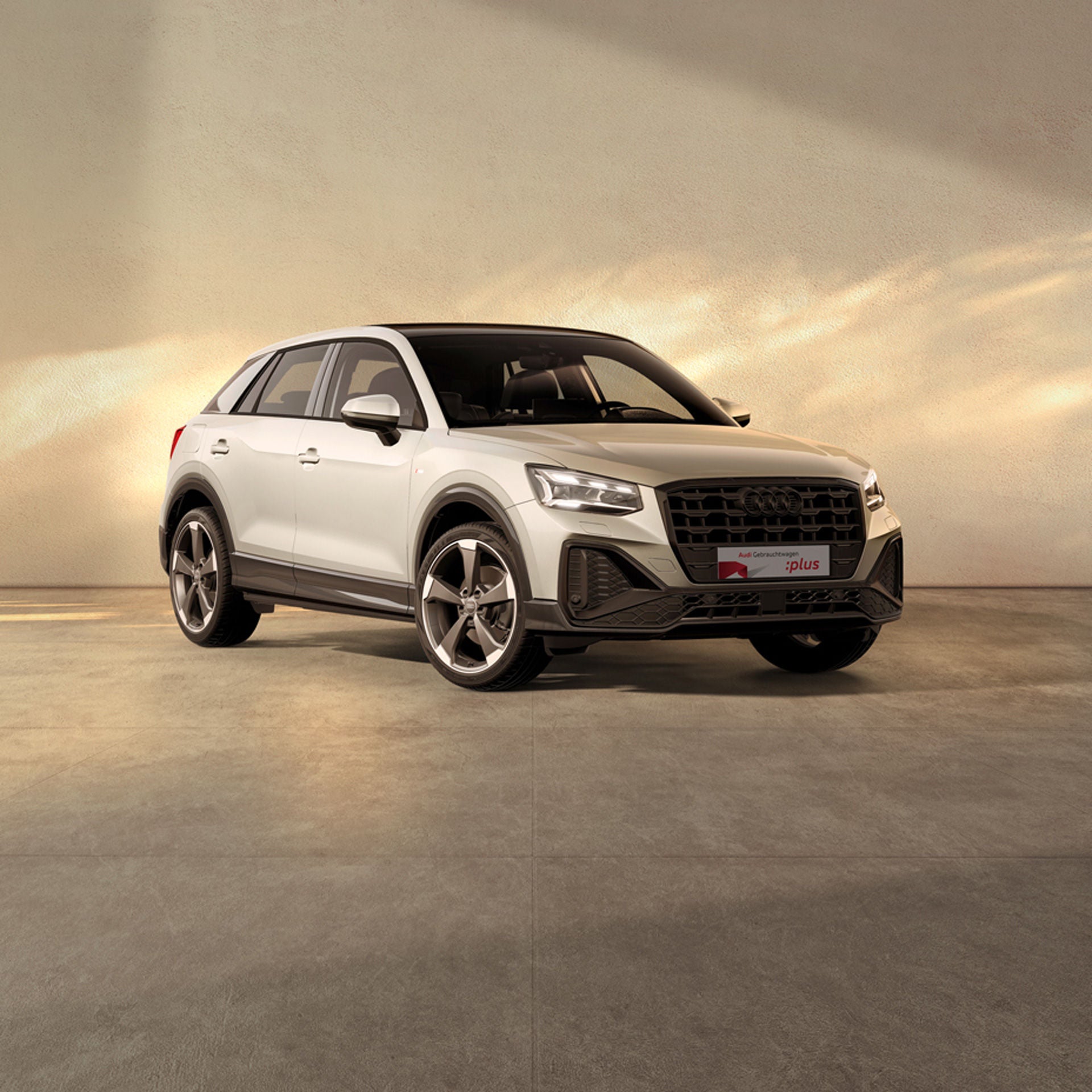 Ein grauer Audi Q2 steht auf einer beigen Fläche bei einfallendem Sonnenlich. Am Rand sind Kirschblüten zu sehen.