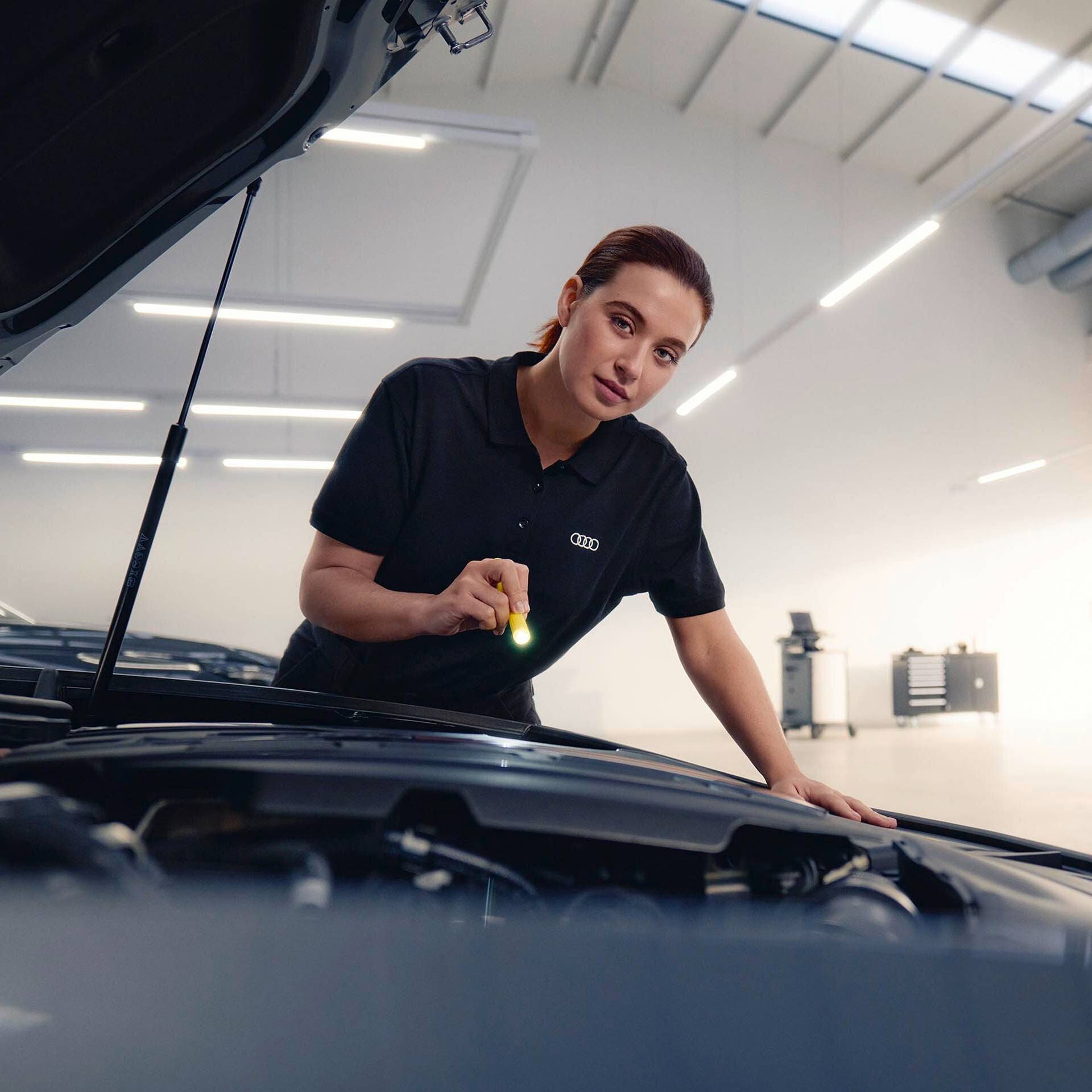 Revisione Audi Service