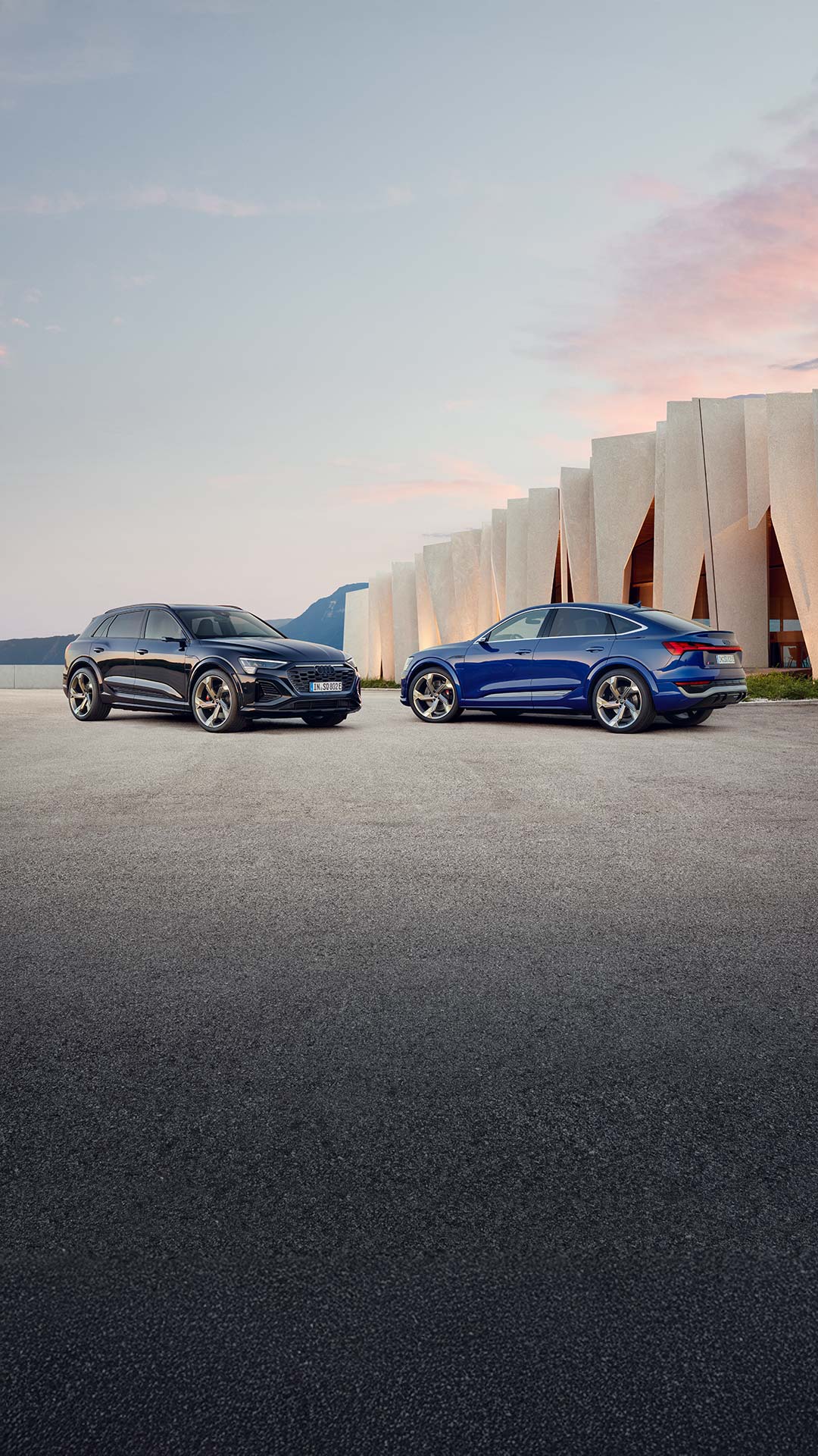 Audi Q8 SUV e-tron & Audi Q8 Sportback e-tron