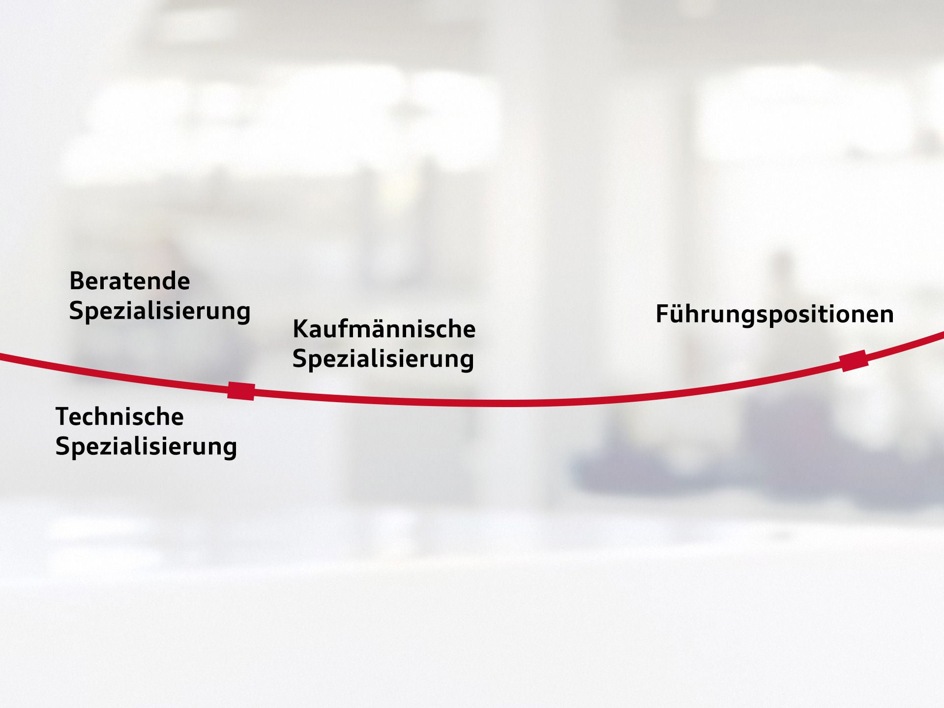 Darstellung von vier Perspektivbereichen bei Audi