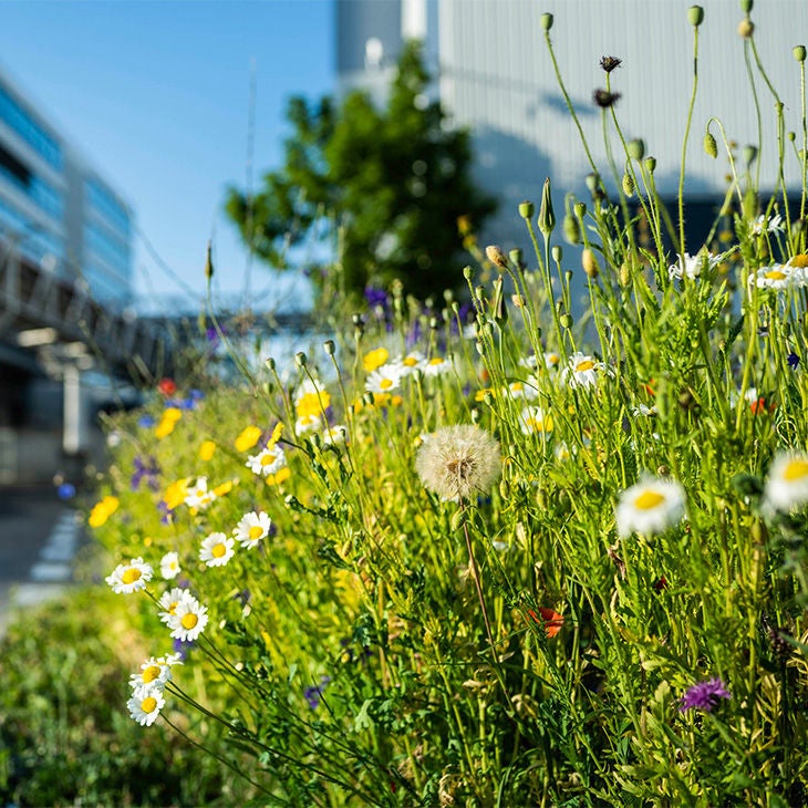 Audi opens new Vehicle Safety Center