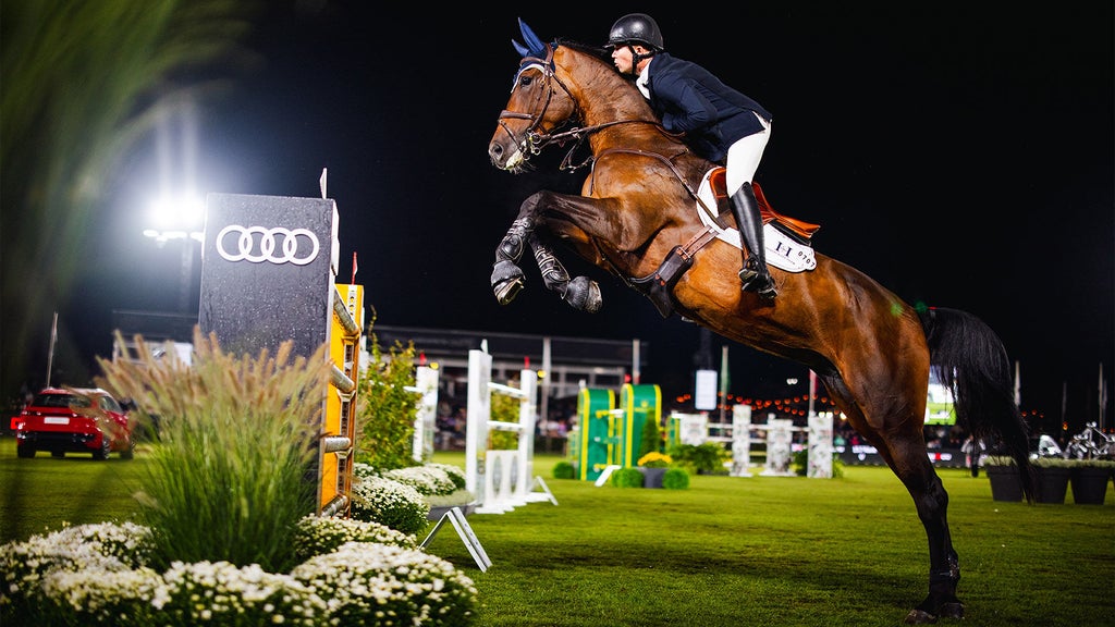 Brussels Stephex Masters : les coulisses de la dixième édition 