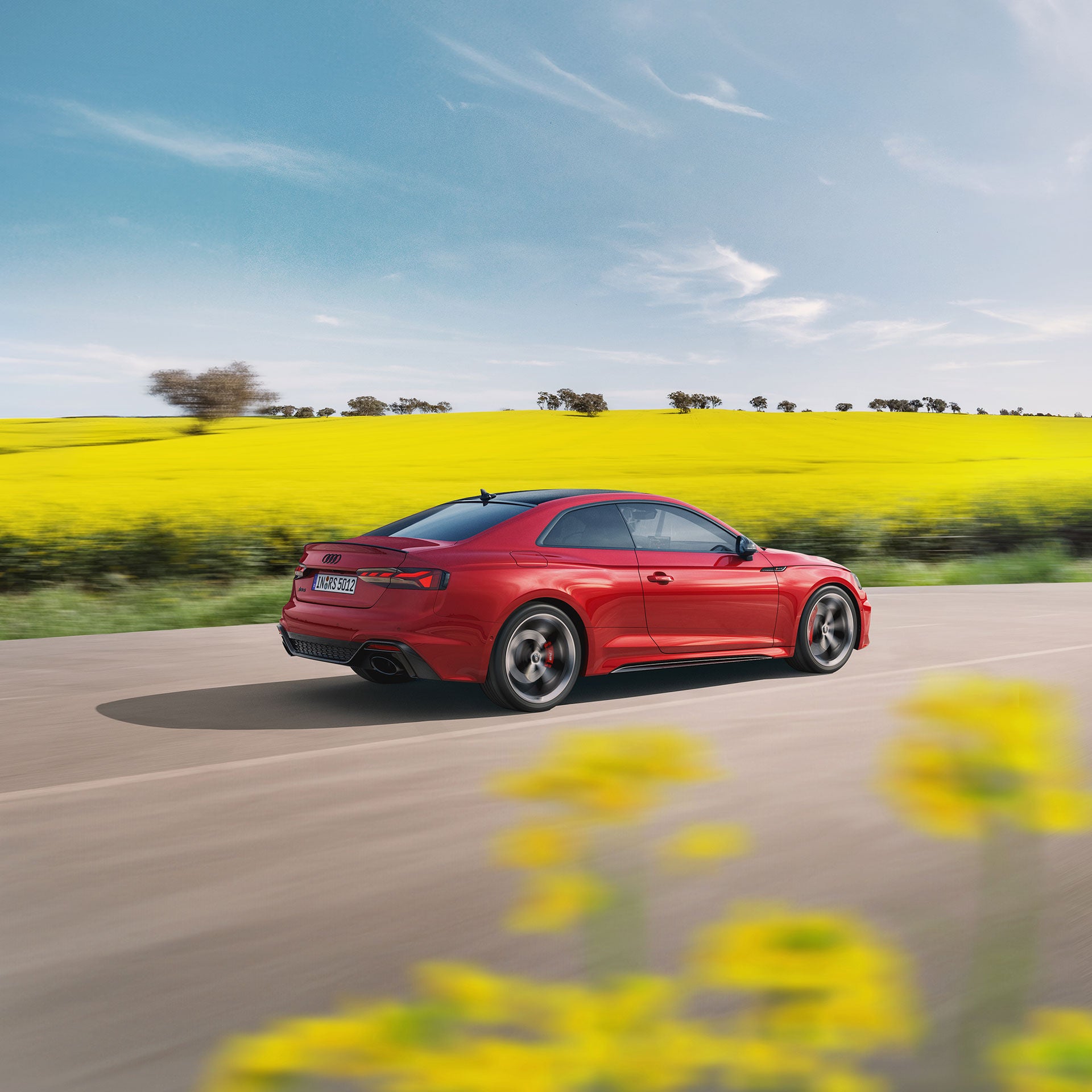 Foto de la revisión de primavera Audi Spring Check.