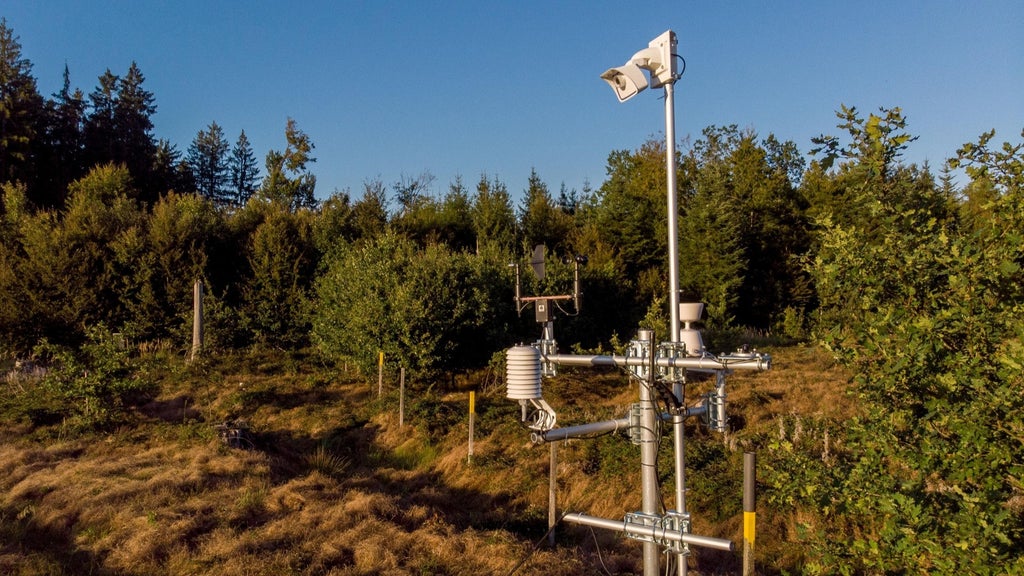 Wetterstation im Eichenwald