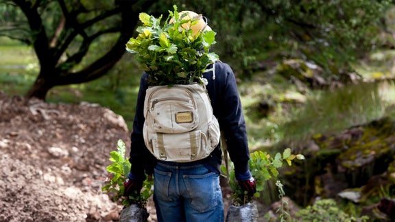 A person with plants in a rucksack walks through the forest
