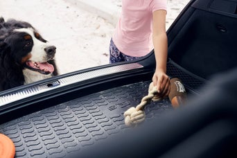 Luggage compartment shell