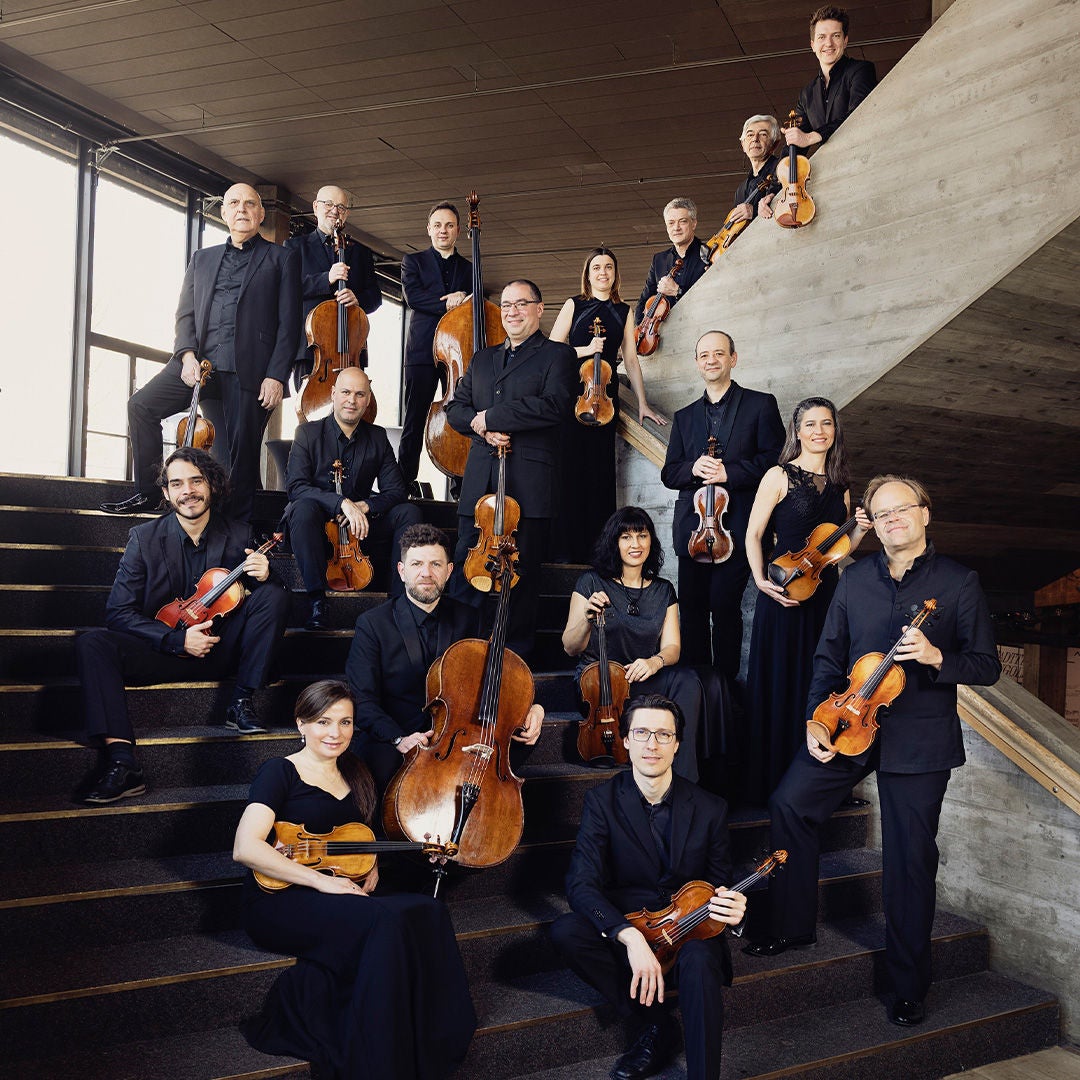 Kammerorchester in Schwarz mit Streichinstrumenten posiert auf einer modernen Betontreppe.