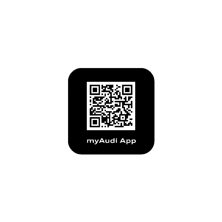 Audi Charging