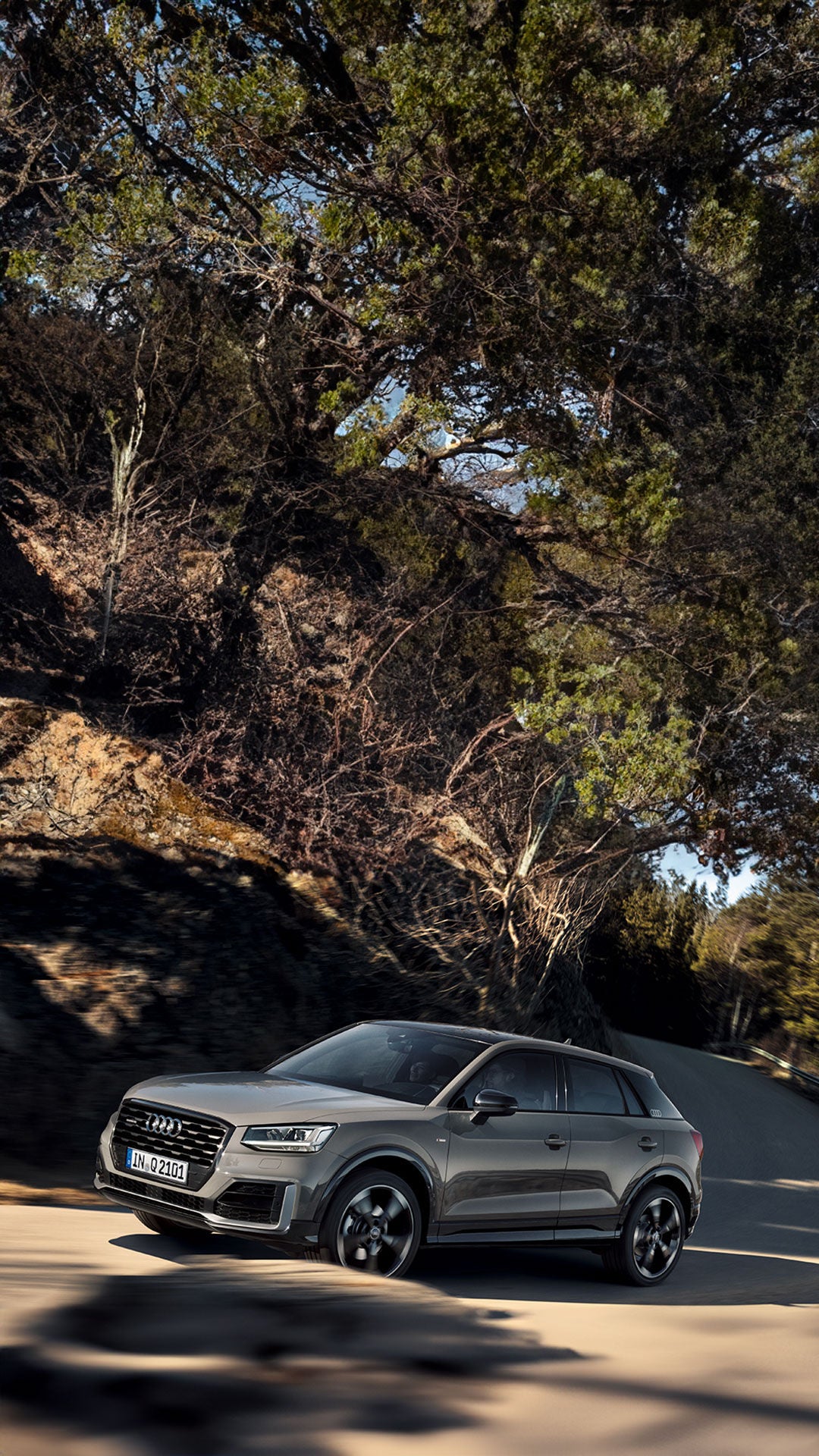 Foto de los neumáticos de verano de Audi. 