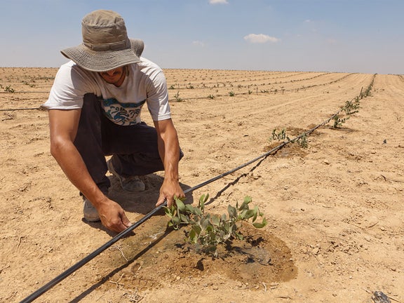 A man checks an irrigation system.