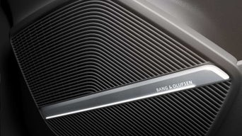 Cut view away Bang & Olufsen speaker.