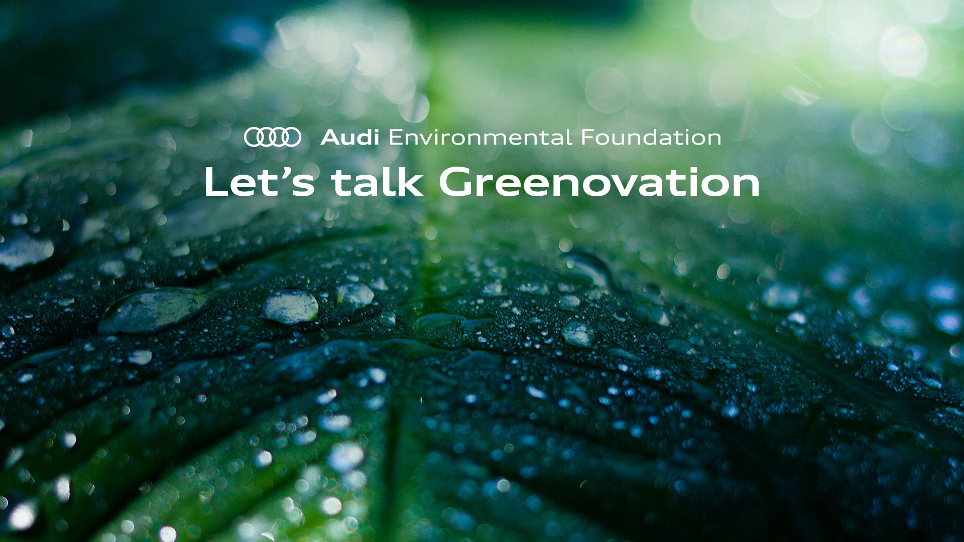 Accouncement LTG 2026 Ingolstadt