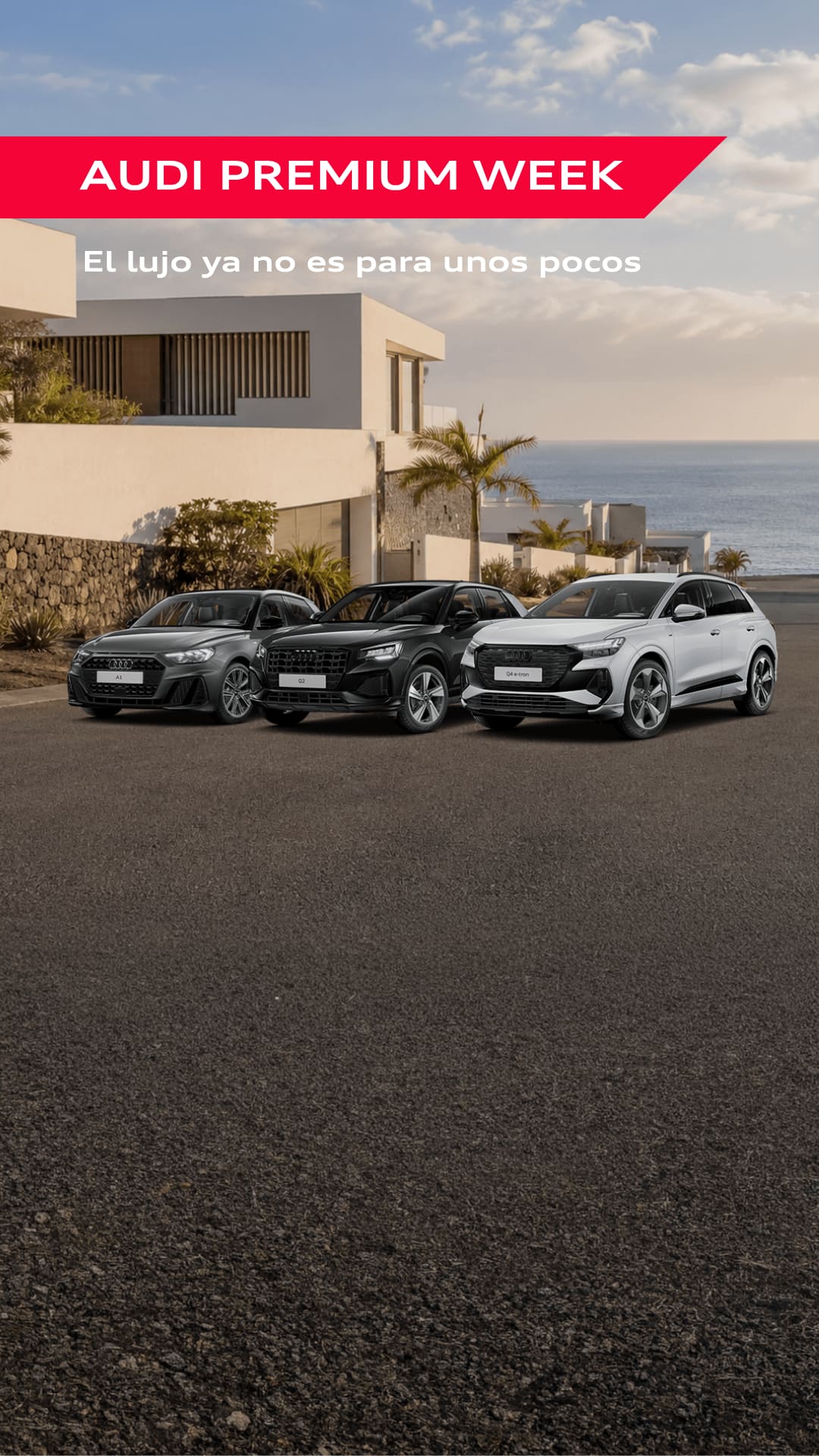 Lateral y parte trasera del Nuevo Q3