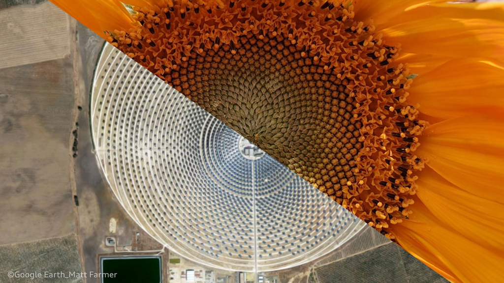 Biomimicry. Innovaties met de natuur als inspiratie