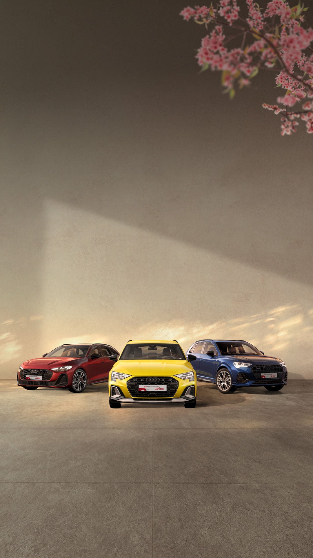 Drei Audi Gebrauchtwagenmodelle stehen nebeneinander in einer hellen, frühlingshaften Lagerhallenumgebung die von weichem, warmen Sonnenlicht durchflutet ist.