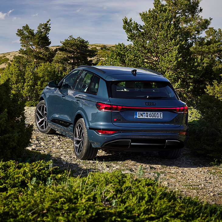 Q6 e-tron OLED rear lights