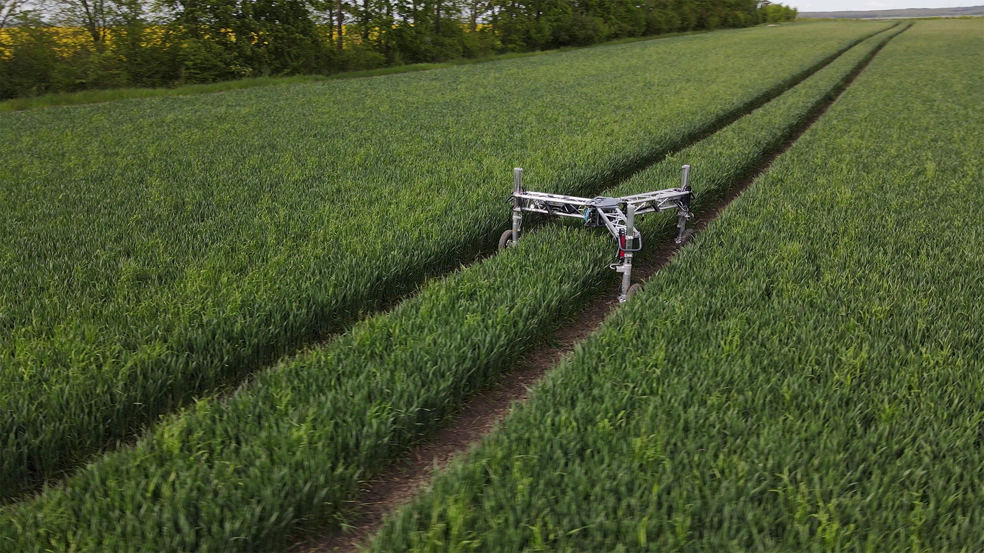 E-Terry auf dem Feld