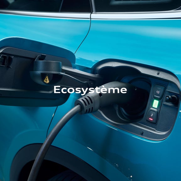 Ecosysteme
