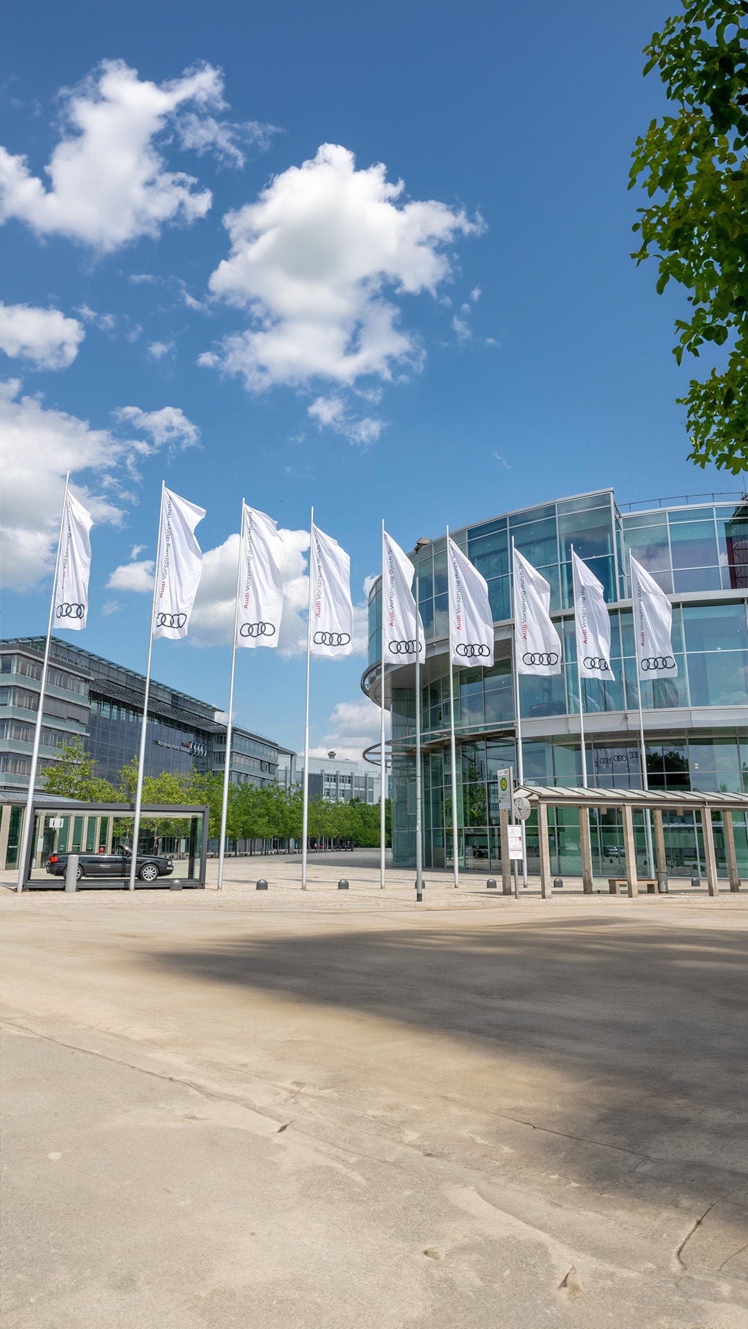 A row of white Audi flags flies in front of a modern glass building under a blue sky.