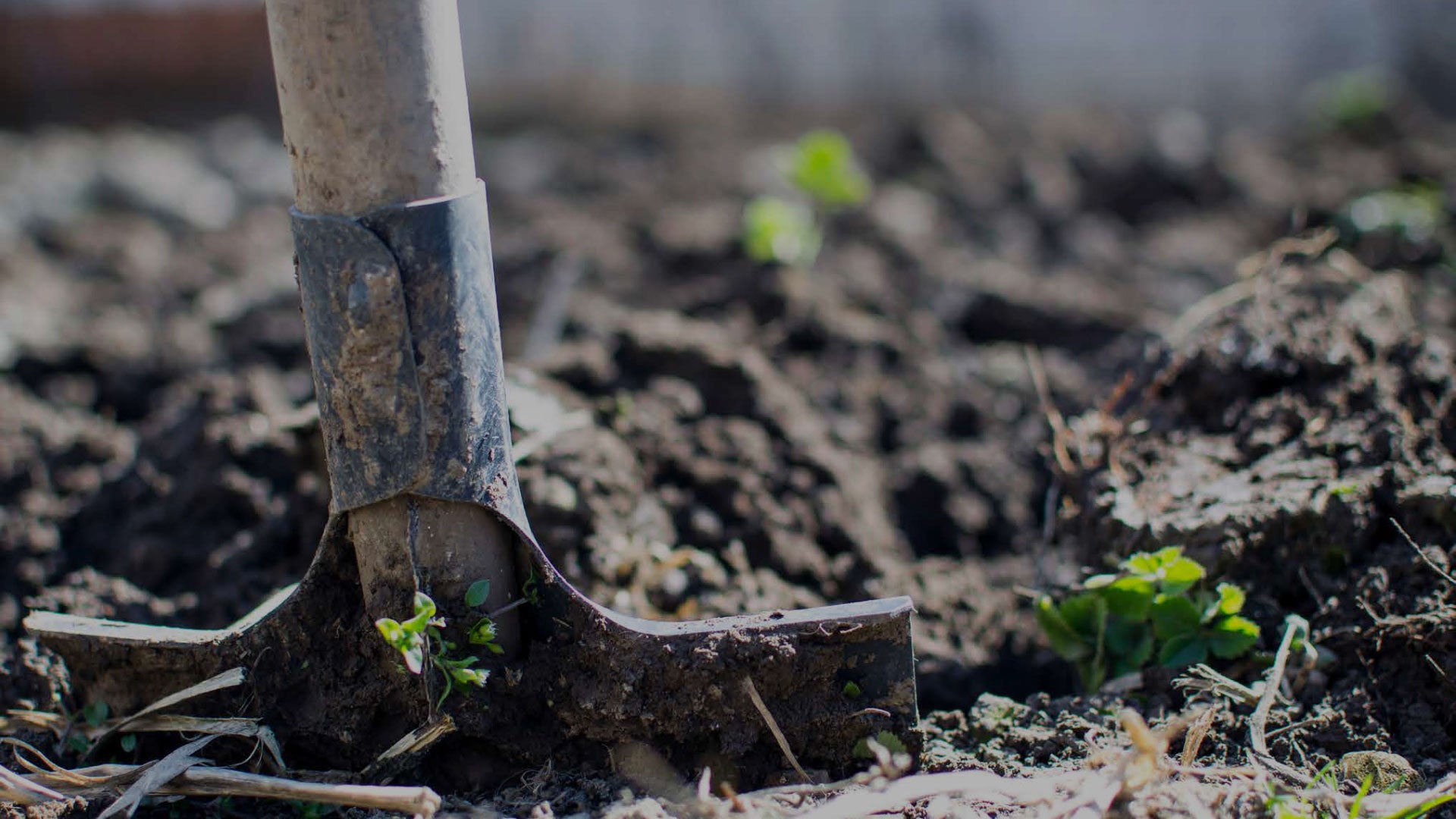 A shovel stuck in the ground