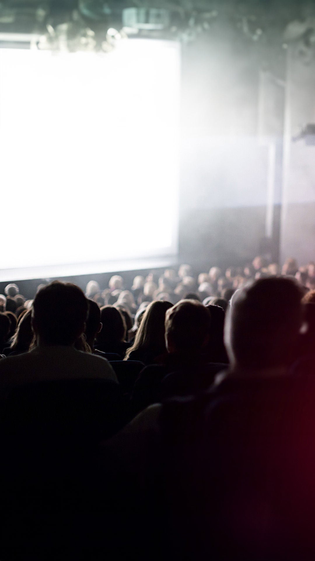 Umrisse von Menschen in einem Kinosaal sind zu erkennen. Sie blicken auf eine hellleuchtende Leinwand des Audi Programmkinos.