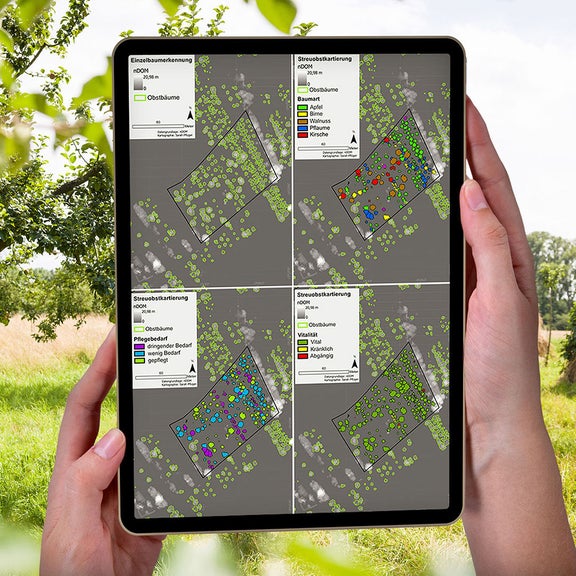 Two hands hold a tablet on which data from orchard meadows is recorded. In the background is a meadow orchard.