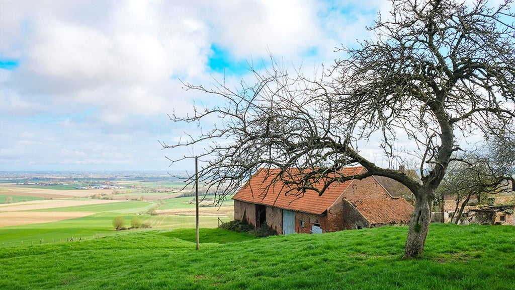 Flandre française, un air de famille 